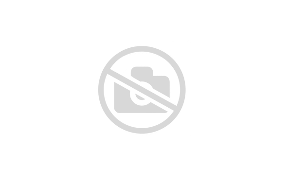 ШАТУН SHACMAN ДВС CUMMINS ISM11 E5, AT